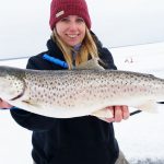 Ice Fish Lake Superior